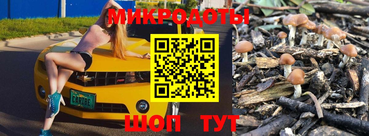 Галлюциногенные грибы MAGIC MUSHROOMS Чайковский